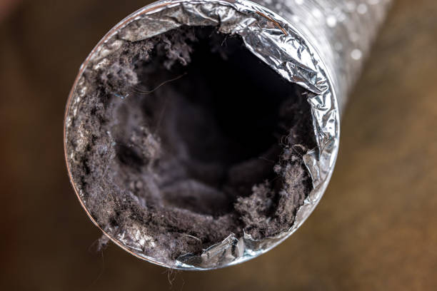 Best Air Duct Cleaning Near Me  in Rkesburg, PA