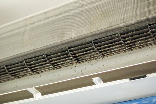 Best Affordable Air Duct Cleaning  in Rkesburg, PA